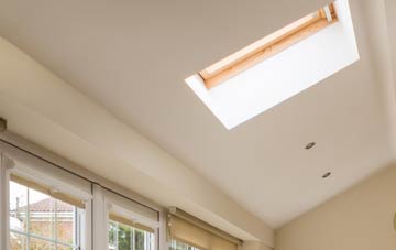 Fenni Fach conservatory roof insulation companies