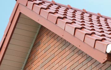 Fenni Fach fascia repair quotes