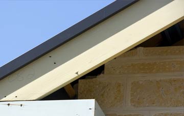 Fenni Fach fascia repairs