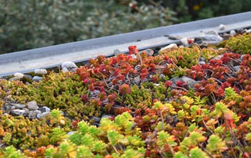 the cost of Fenni Fach green roof installation