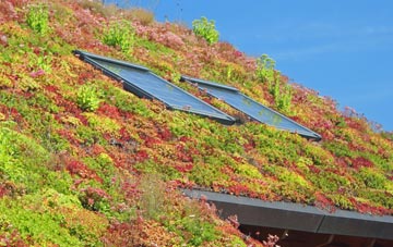 Fenni Fach living roof systems