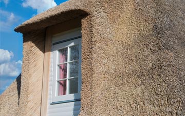 Fenni Fach thatch roof disadvantages