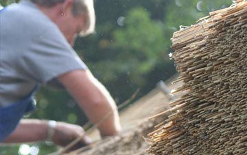 professional Fenni Fach thatchers